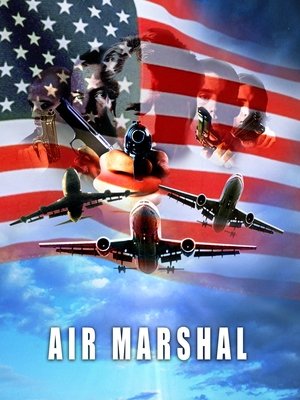 Watch Free Air Marshal (2003)