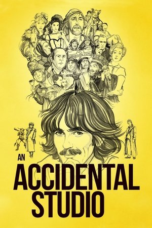 Watch Free An Accidental Studio (2019)