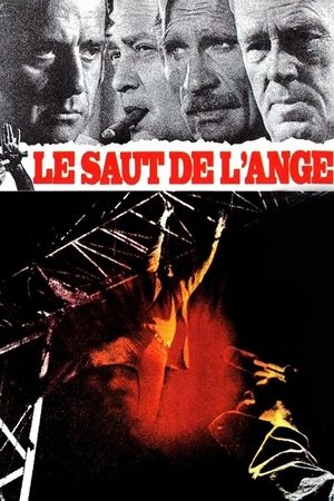 Watch Free Angels Leap (1971)