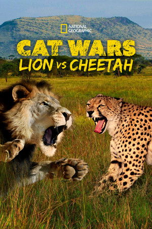 Watch Free Cat Wars Lion Vs Cheetah (2011)