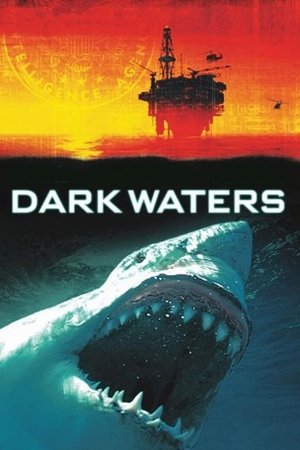 Watch Free Dark Waters (2003)