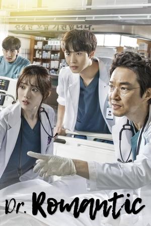 Watch Free Dr Romantic (2016-2023)