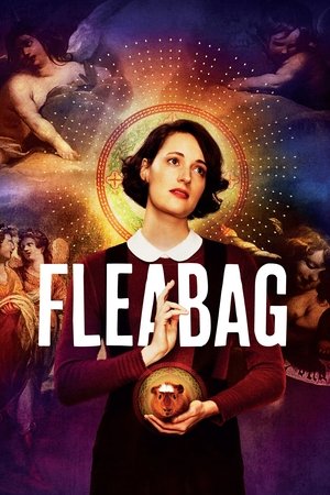 Watch Free Fleabag (2016 )