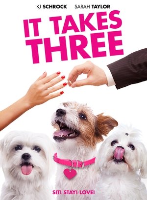 Watch Free It Takes Three (2019)