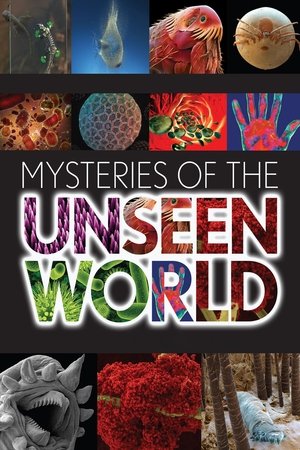 Watch Free Mysteries of the Unseen World (2013)