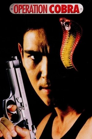Watch Free Inferno (1997)