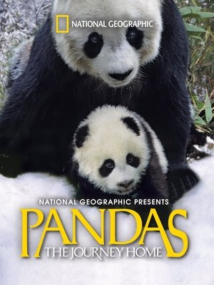 Watch Free Pandas: The Journey Home (2014)