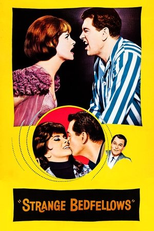 Watch Free Strange Bedfellows (1965)
