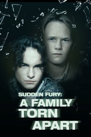Watch Free A Family Torn Apart (1993)