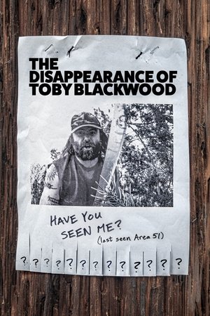 Watch Free The Disappearance of Toby Blackwood (2022)
