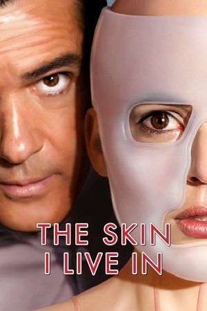 Watch Free The Skin I Live In (2011)