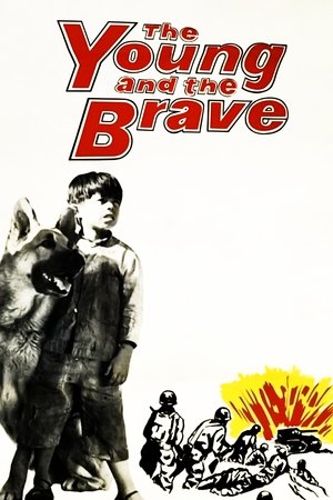 Watch Free The Young and the Brave (1963)