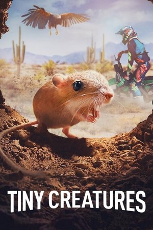 Watch Free Tiny Creatures (2020 )