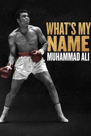 Watch Free Whats My Name: Muhammad Ali (2019)