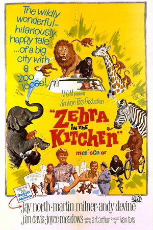 Watch Free Zebra in the Kitchen (1965)
