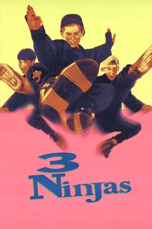 Watch Free 3 Ninjas (1992)