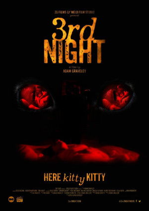 Watch Free 3rd Night (2017)