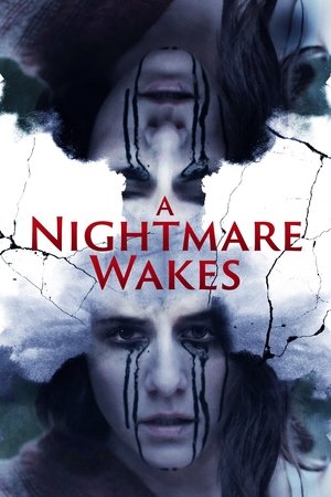 Watch Free A Nightmare Wakes (2020)