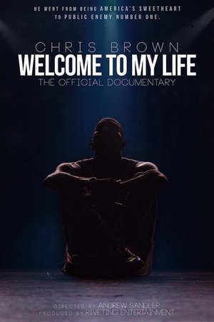 Watch Free Chris Brown: Welcome to My Life (2017)