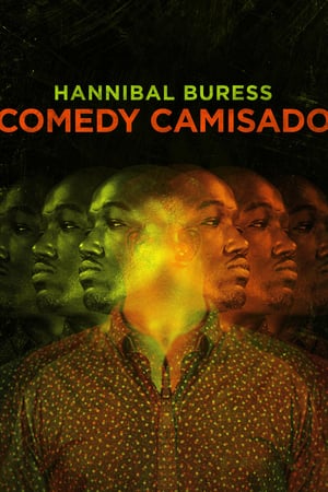 Watch Free Hannibal Buress: Comedy Camisado (2016)