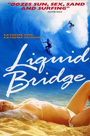 Watch Free Liquid Bridge (2003)