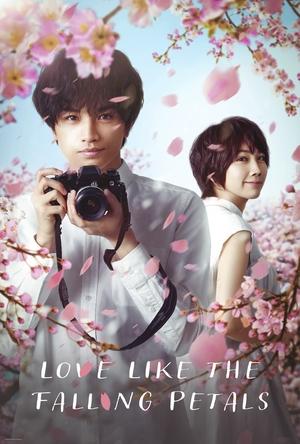 Watch Free Love Like the Falling Petals (2022)
