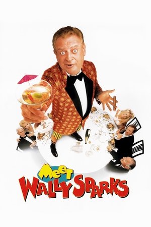 Watch Free Meet Wally Sparks (1997)
