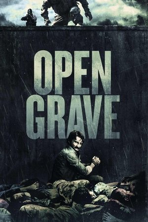 Watch Free Open Grave (2013)