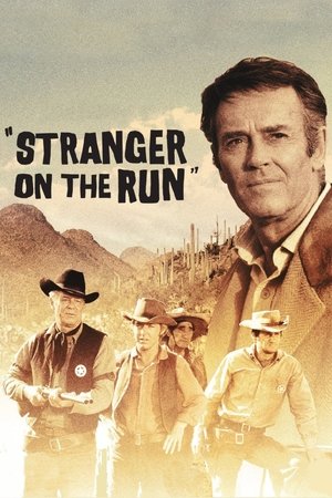 Watch Free Stranger on the Run (1967)