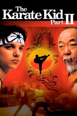 Watch Free The Karate Kid II 1986