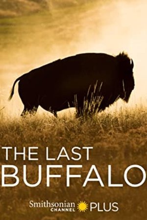 Watch Free The Last Buffalo (2017)