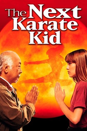Watch Free The Next Karate Kid (1994)