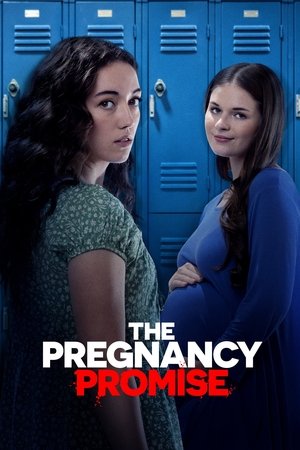 Watch Free The Pregnancy Promise (2023)