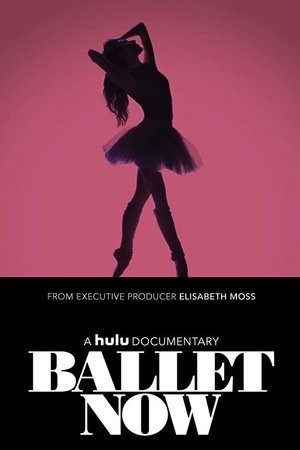Watch Free Ballet Now (2018)