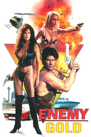 Watch Free Enemy Gold (1993)