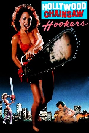 Watch Full Movie: Hollywood Chainsaw Hookers (1988)