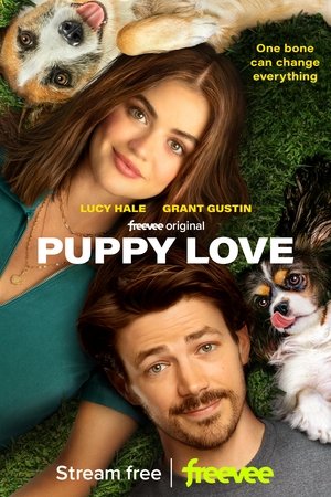 Watch Free Puppy Love (2023)
