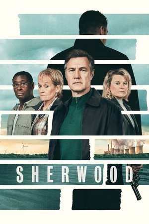 Watch Free Sherwood (2022-)