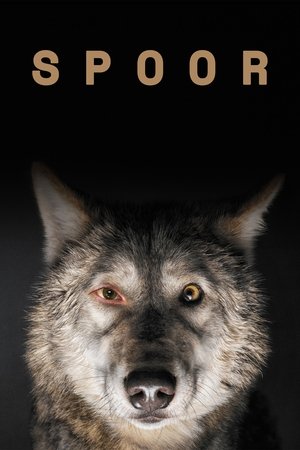 Watch Free Spoor (2017)