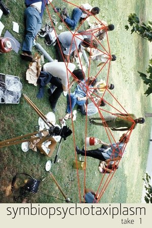 Watch Free Symbiopsychotaxiplasm Take One (1968)