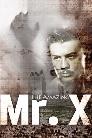 Watch Free The Amazing Mr X (1948)