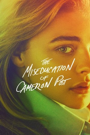 Watch Free The Miseducation of Cameron Post (2018)