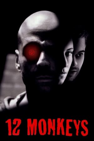 Watch Free Twelve Monkeys (1995)
