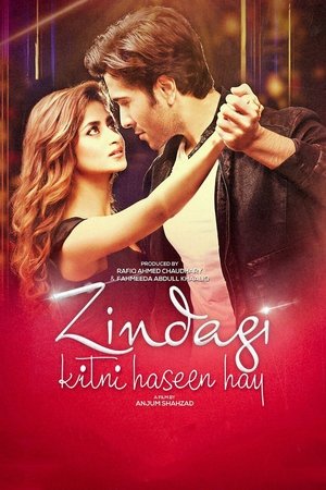 Watch Free Zindagi Kitni Haseen Hay (2016)