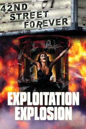 Watch Free 42nd Street Forever, Volume 3: Exploitation Explosion (2008)