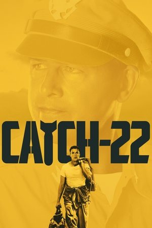 Watch Free Catch 22 (2019 )