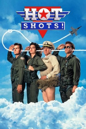Watch Free Hot Shots! (1991)