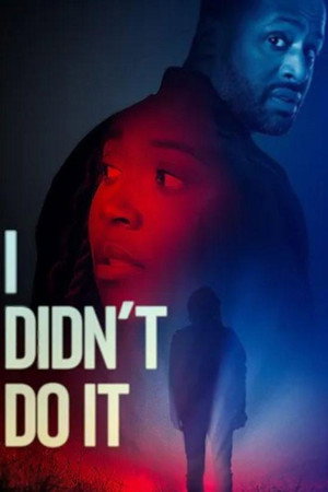 Watch Free I Didnt Do It (2026)