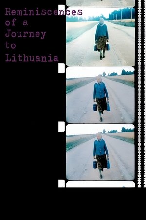 Watch Free Reminiscences of a Journey to Lithuania (1972)