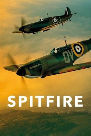 Watch Full Movie: Spitfire (2017)